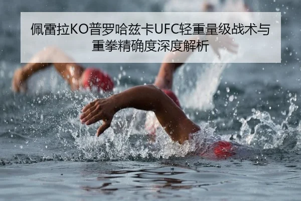 佩雷拉KO普罗哈兹卡UFC轻重量级战术与重拳精确度深度解析